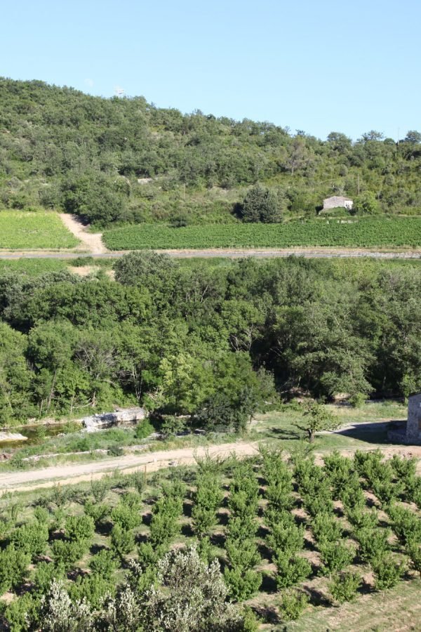 vue-de-notre-Bastide-depuis-la-colline-(cette-vue-peut-servir-pour-le-Logo)